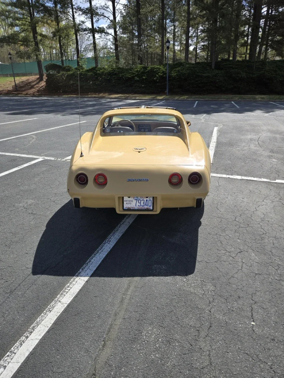 Chevrolet-Corvette-coupe-1977-Tan-Tan-1
