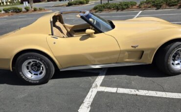 Chevrolet-Corvette-coupe-1977-Tan-Tan-10