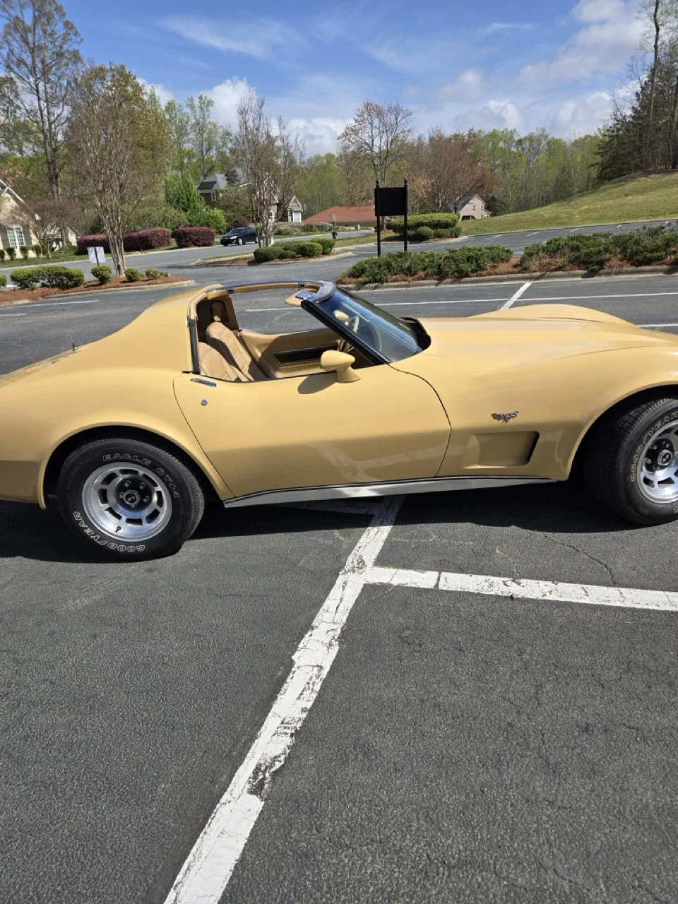 Chevrolet-Corvette-coupe-1977-Tan-Tan-10