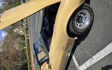 Chevrolet-Corvette-coupe-1977-Tan-Tan-13