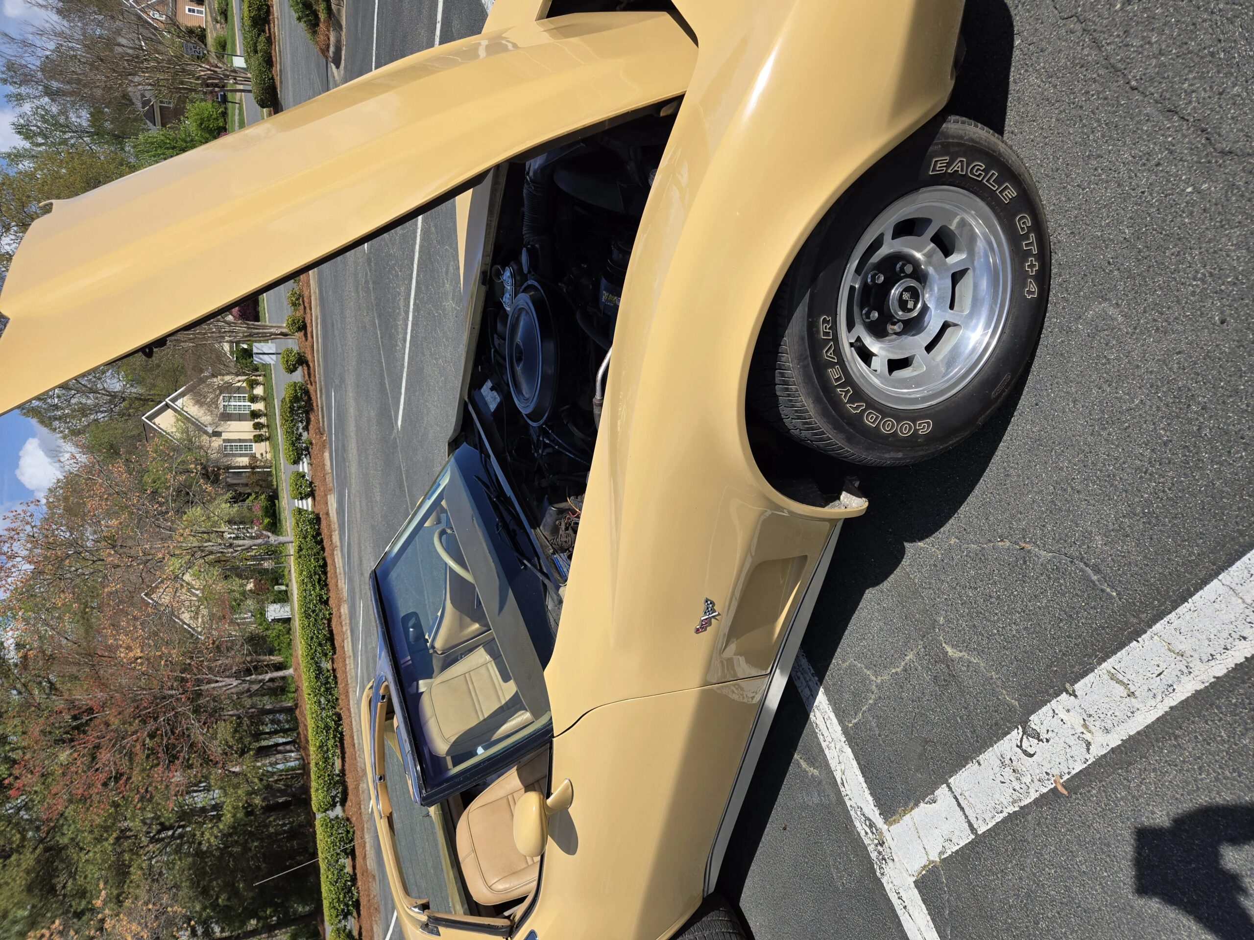 Chevrolet-Corvette-coupe-1977-Tan-Tan-13