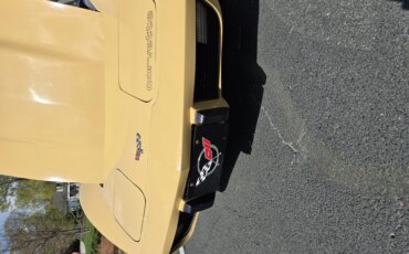 Chevrolet-Corvette-coupe-1977-Tan-Tan-14