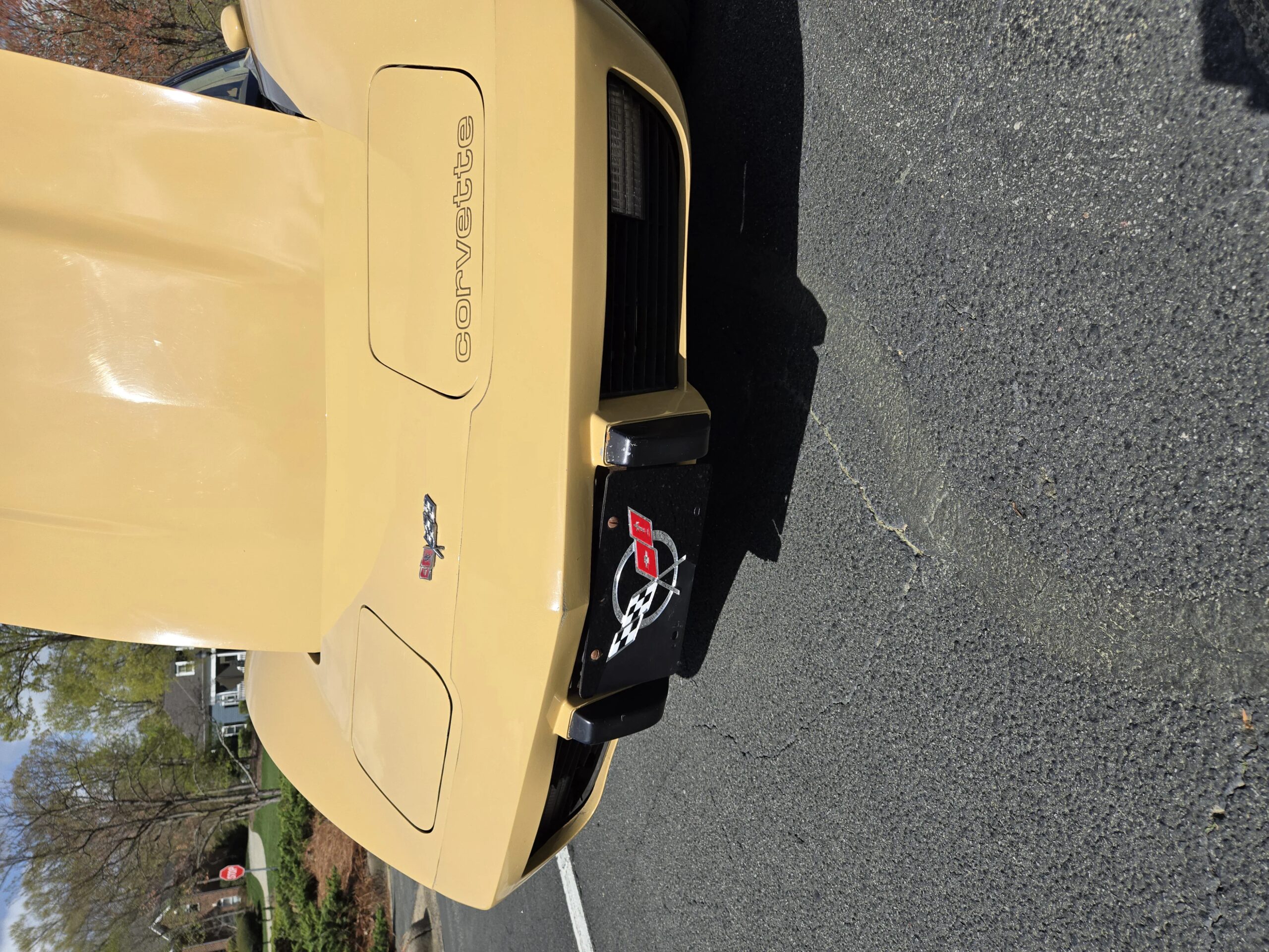 Chevrolet-Corvette-coupe-1977-Tan-Tan-14