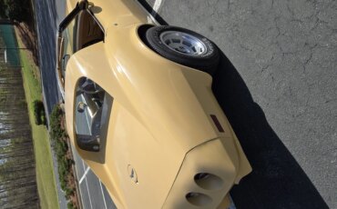 Chevrolet-Corvette-coupe-1977-Tan-Tan-5