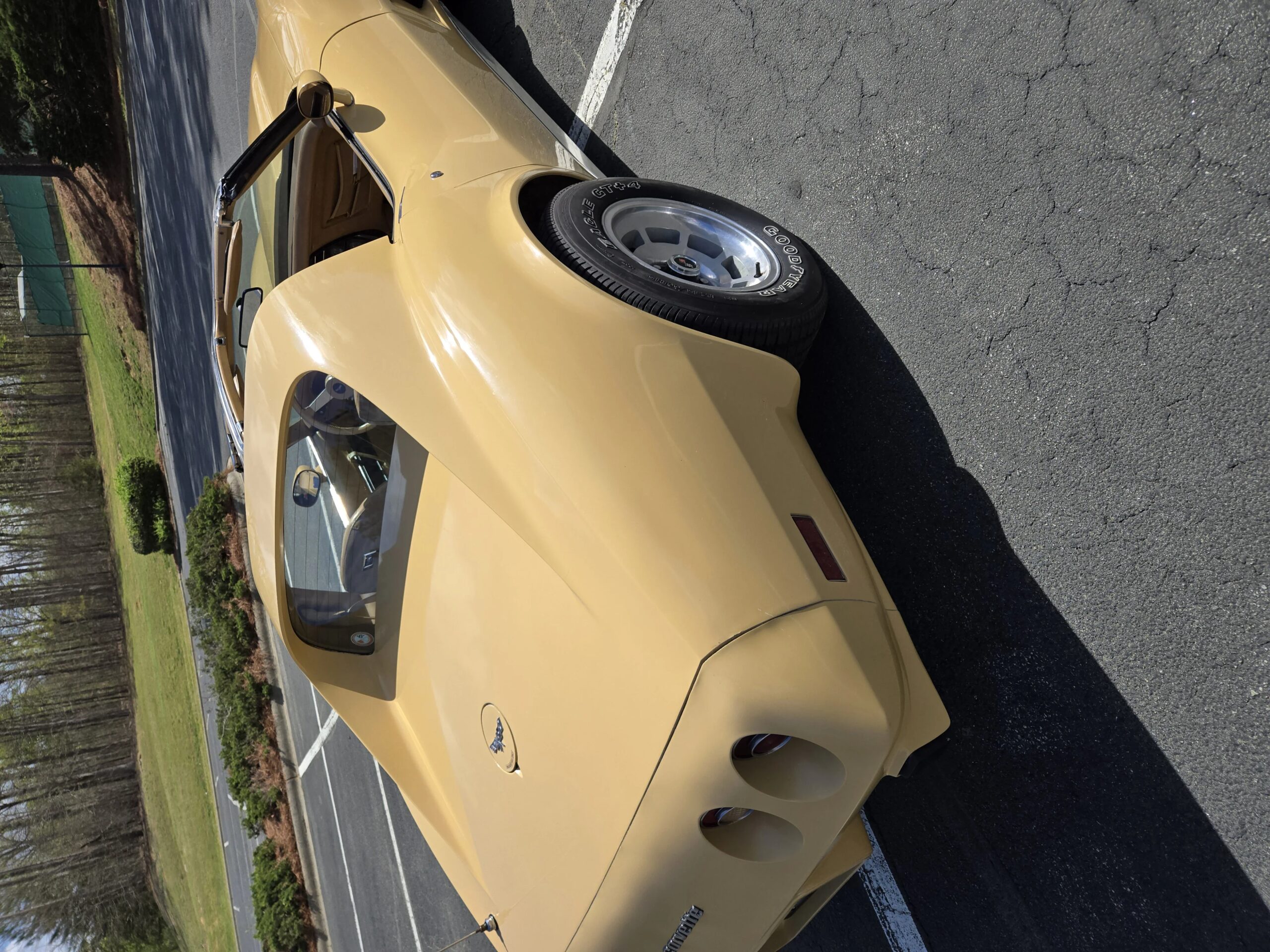 Chevrolet-Corvette-coupe-1977-Tan-Tan-5