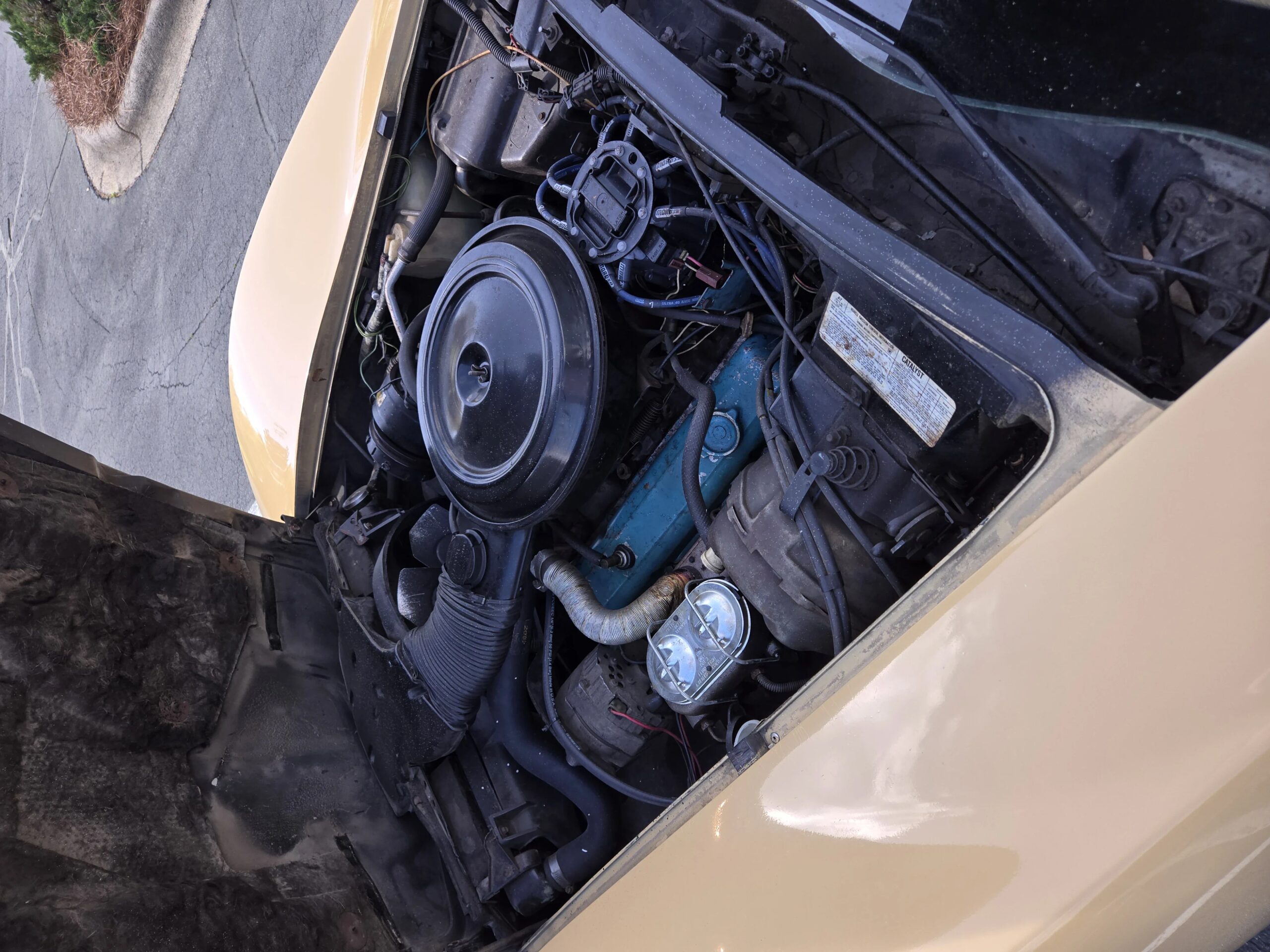 Chevrolet-Corvette-coupe-1977-Tan-Tan-8