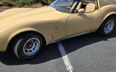 Chevrolet-Corvette-coupe-1977-Tan-Tan-9