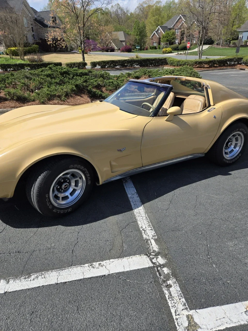 Chevrolet-Corvette-coupe-1977-Tan-Tan-9