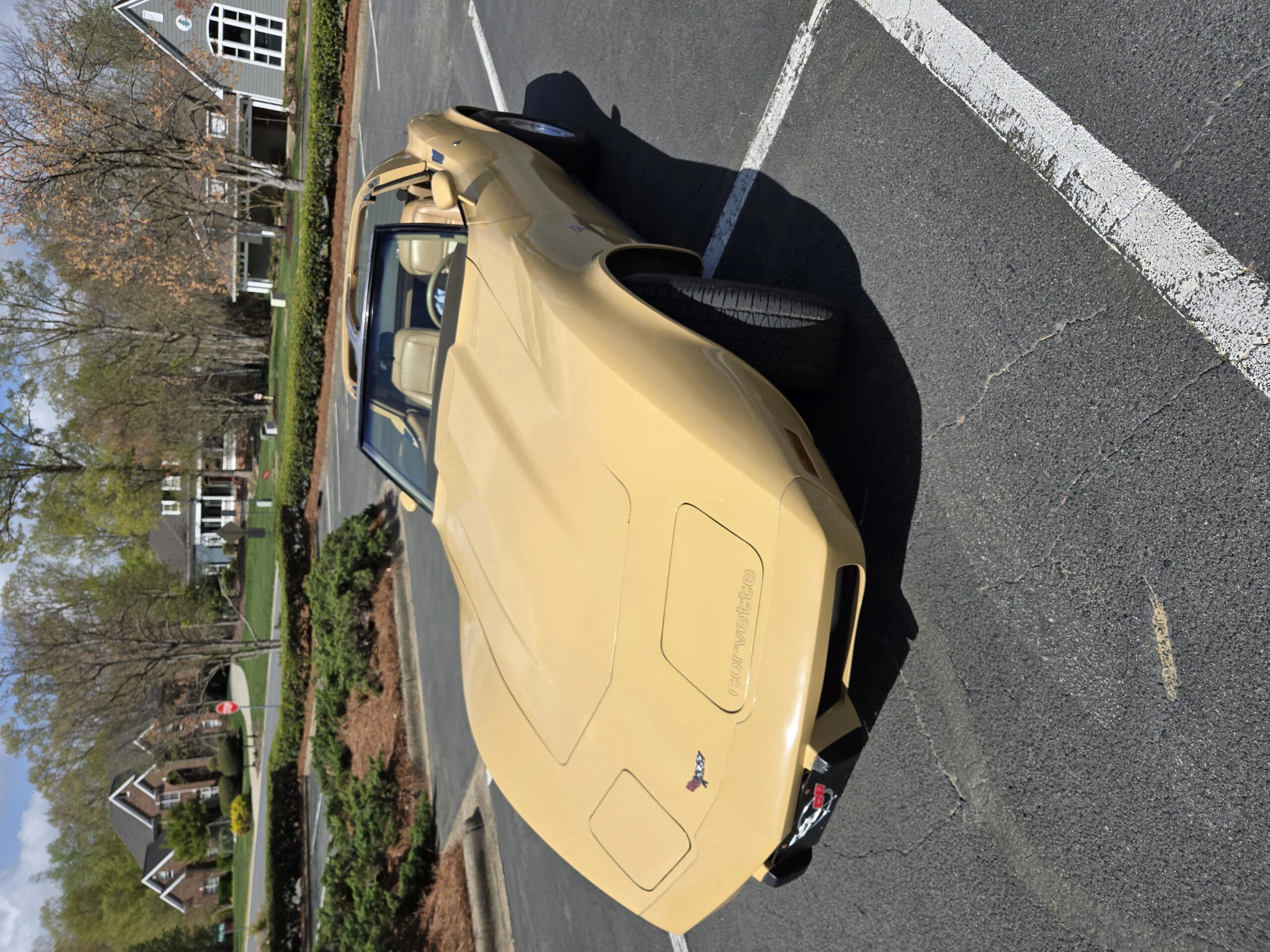 Chevrolet-Corvette-coupe-1977-Tan-Tan