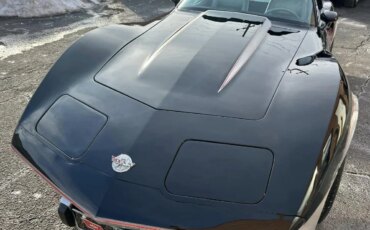 Chevrolet-Corvette-coupe-1978-Black-Silver-2