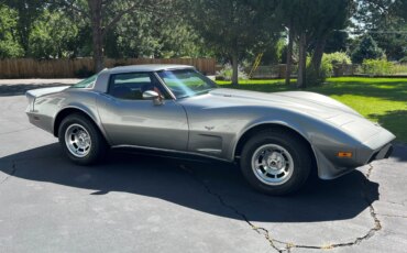 Chevrolet-Corvette-coupe-1978-Saffron-1