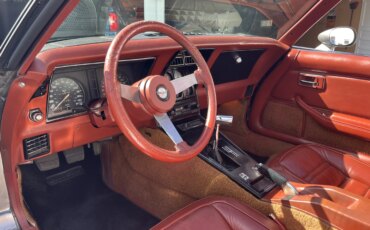 Chevrolet-Corvette-coupe-1978-Saffron-15