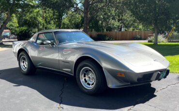 Chevrolet-Corvette-coupe-1978-Saffron