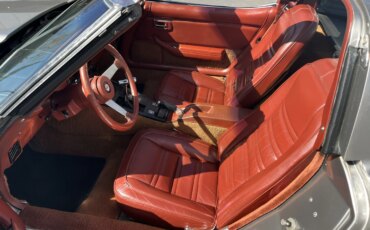 Chevrolet-Corvette-coupe-1978-Saffron-6