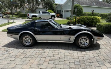 Chevrolet-Corvette-coupe-1978-Silver-2