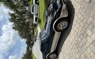 Chevrolet-Corvette-coupe-1978-Silver