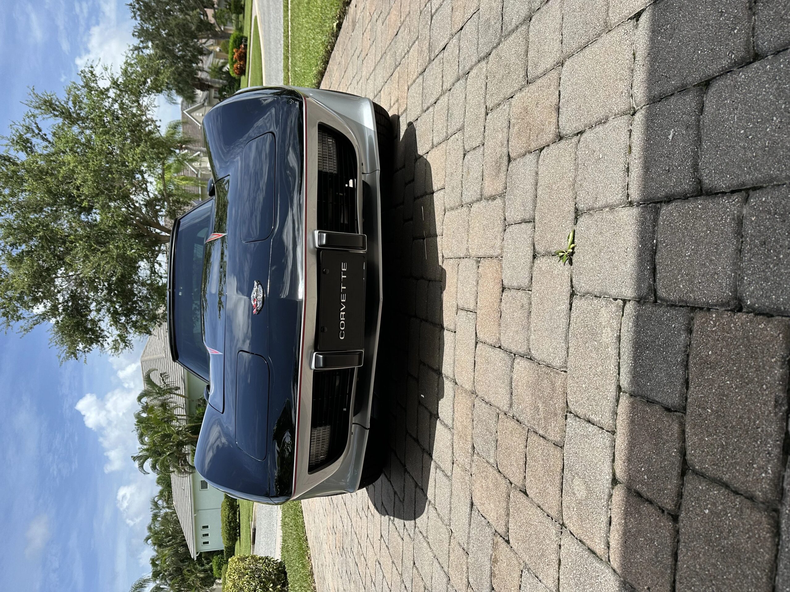 Chevrolet-Corvette-coupe-1978-Silver-4