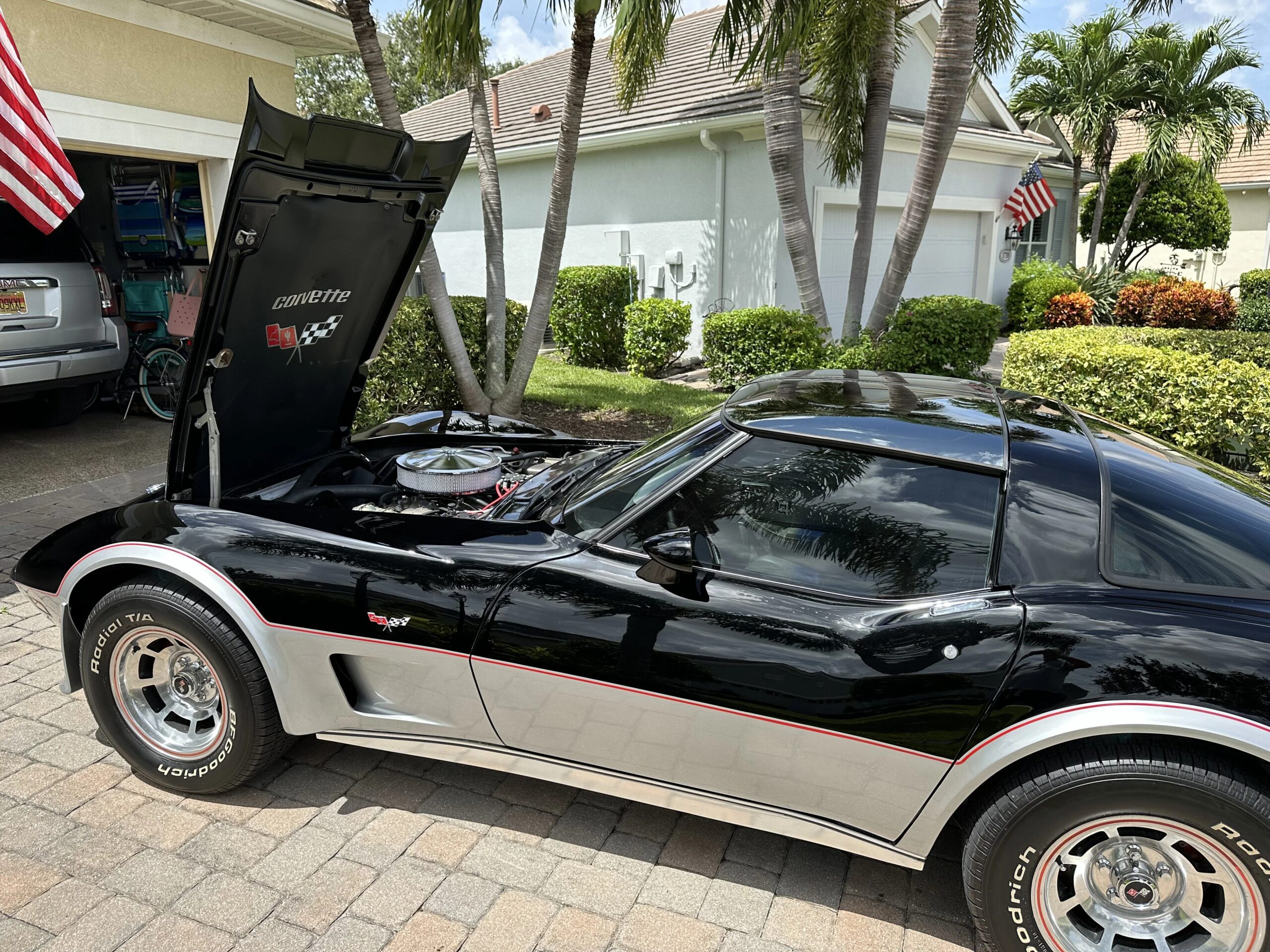 Chevrolet-Corvette-coupe-1978-Silver-7