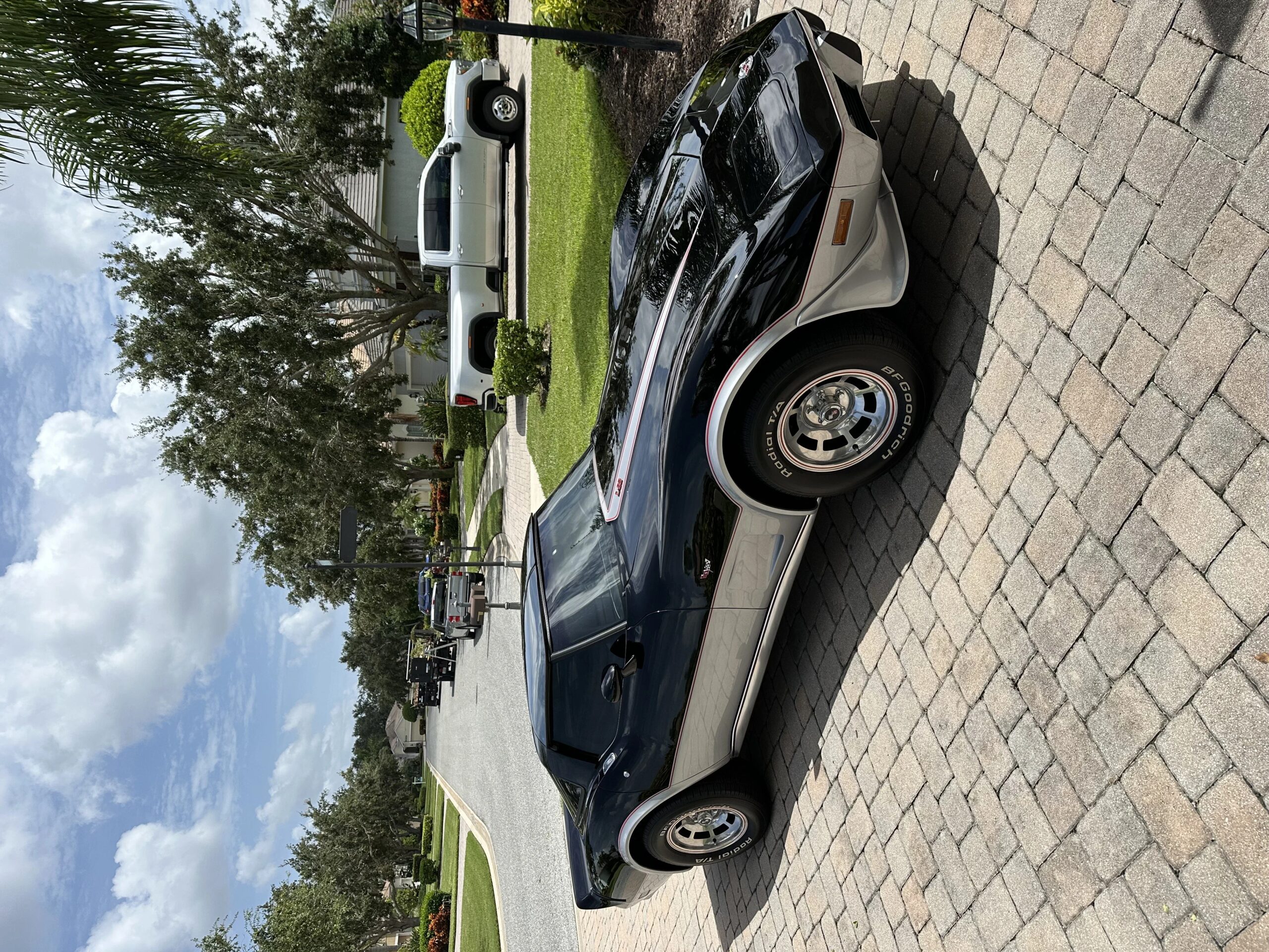 Chevrolet-Corvette-coupe-1978-Silver