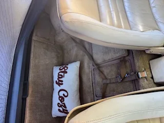 Chevrolet-Corvette-coupe-1979-Burgundy-Tan-5