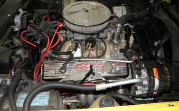 Chevrolet-Corvette-coupe-1979-Yellow-Black-1