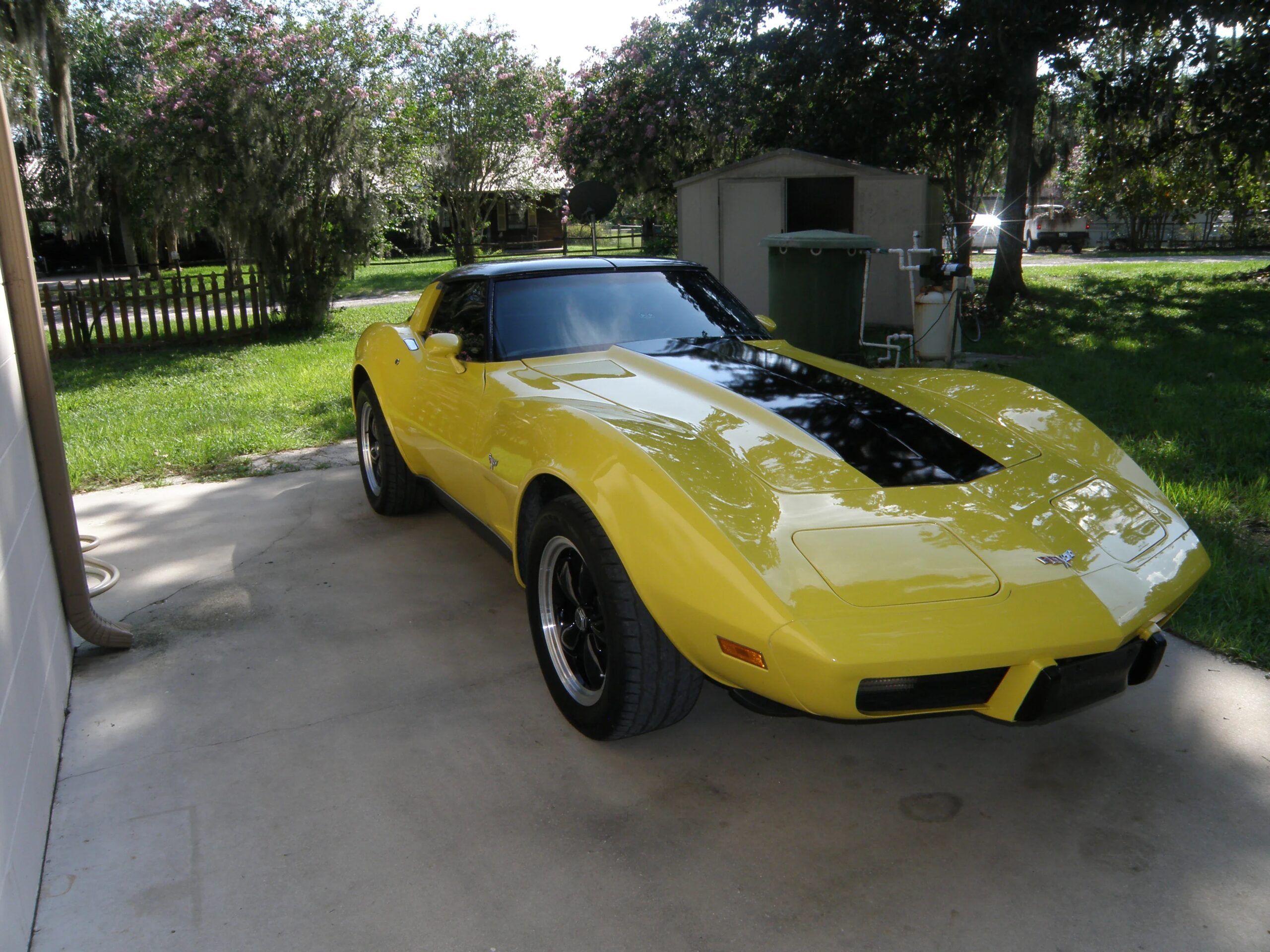 Chevrolet-Corvette-coupe-1979-Yellow-Black-11
