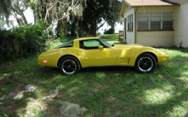 Chevrolet-Corvette-coupe-1979-Yellow-Black-15