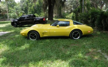 Chevrolet-Corvette-coupe-1979-Yellow-Black-16