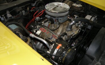 Chevrolet-Corvette-coupe-1979-Yellow-Black-17