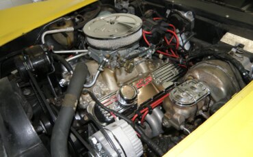 Chevrolet-Corvette-coupe-1979-Yellow-Black-19