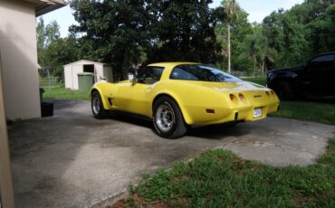Chevrolet-Corvette-coupe-1979-Yellow-Black-24