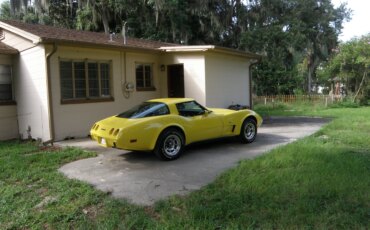 Chevrolet-Corvette-coupe-1979-Yellow-Black-25