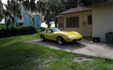 Chevrolet-Corvette-coupe-1979-Yellow-Black-26