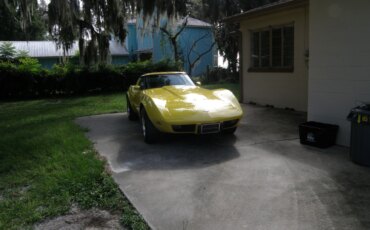 Chevrolet-Corvette-coupe-1979-Yellow-Black-27