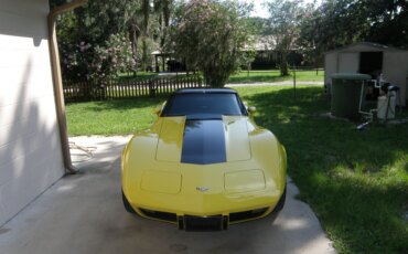 Chevrolet-Corvette-coupe-1979-Yellow-Black-29