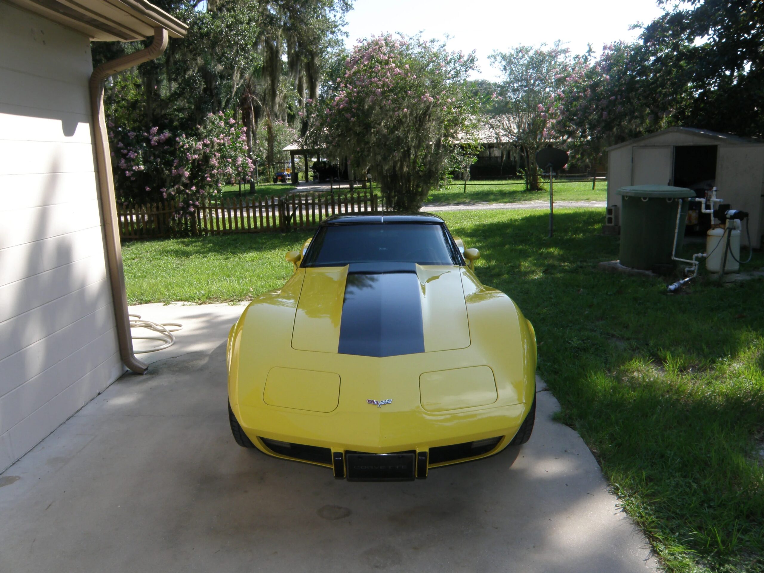 Chevrolet-Corvette-coupe-1979-Yellow-Black-29
