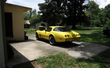 Chevrolet-Corvette-coupe-1979-Yellow-Black-3
