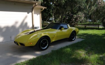 Chevrolet-Corvette-coupe-1979-Yellow-Black-30