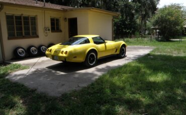 Chevrolet-Corvette-coupe-1979-Yellow-Black-4