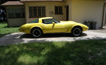 Chevrolet-Corvette-coupe-1979-Yellow-Black-5