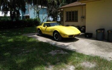 Chevrolet-Corvette-coupe-1979-Yellow-Black-6