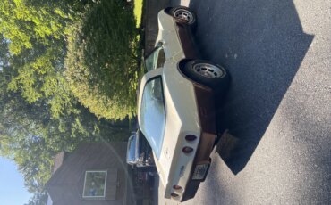 Chevrolet-Corvette-coupe-1981-Beige-Beige-1