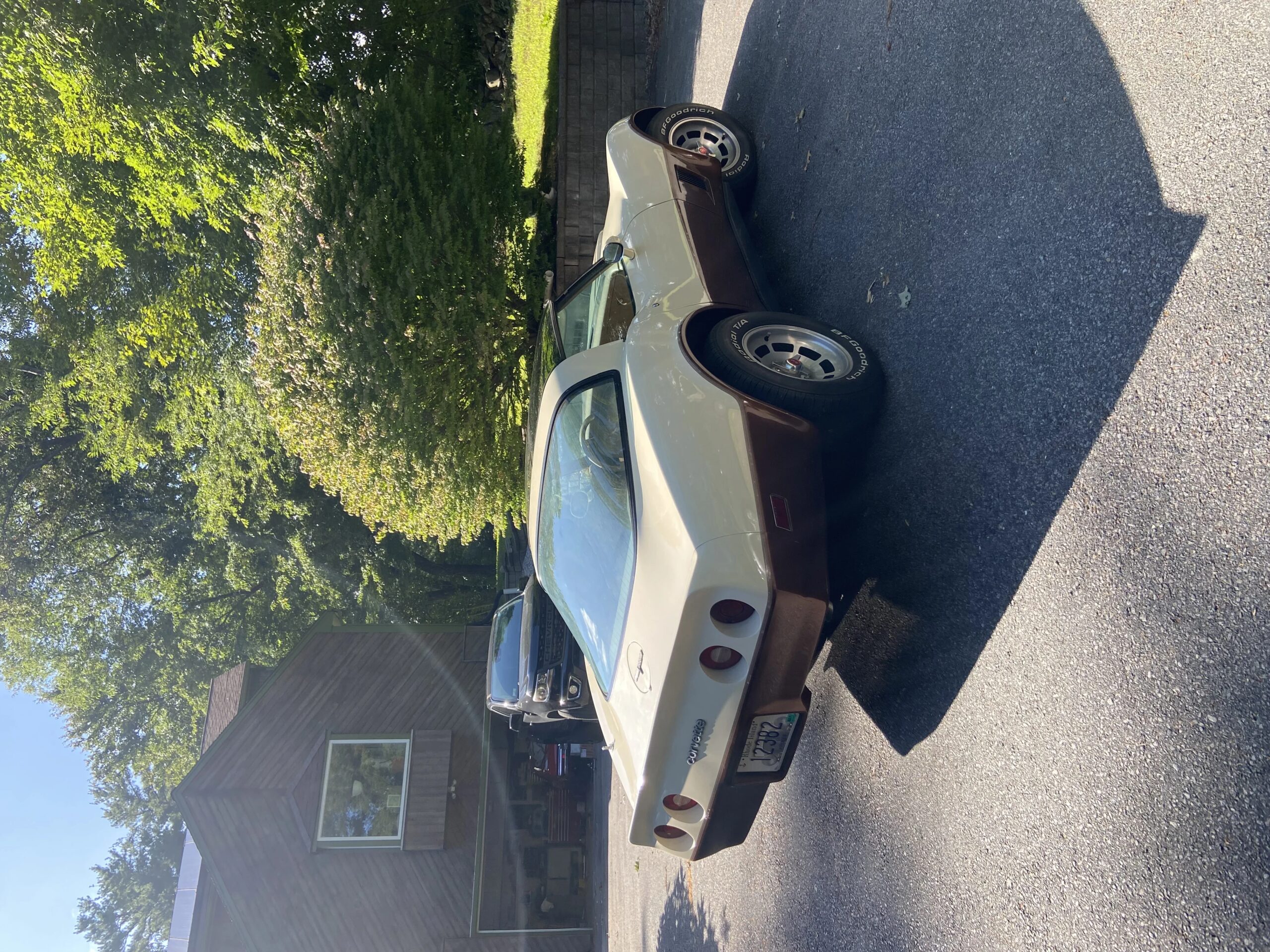 Chevrolet-Corvette-coupe-1981-Beige-Beige-1