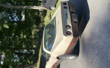 Chevrolet-Corvette-coupe-1981-Beige-Beige-2