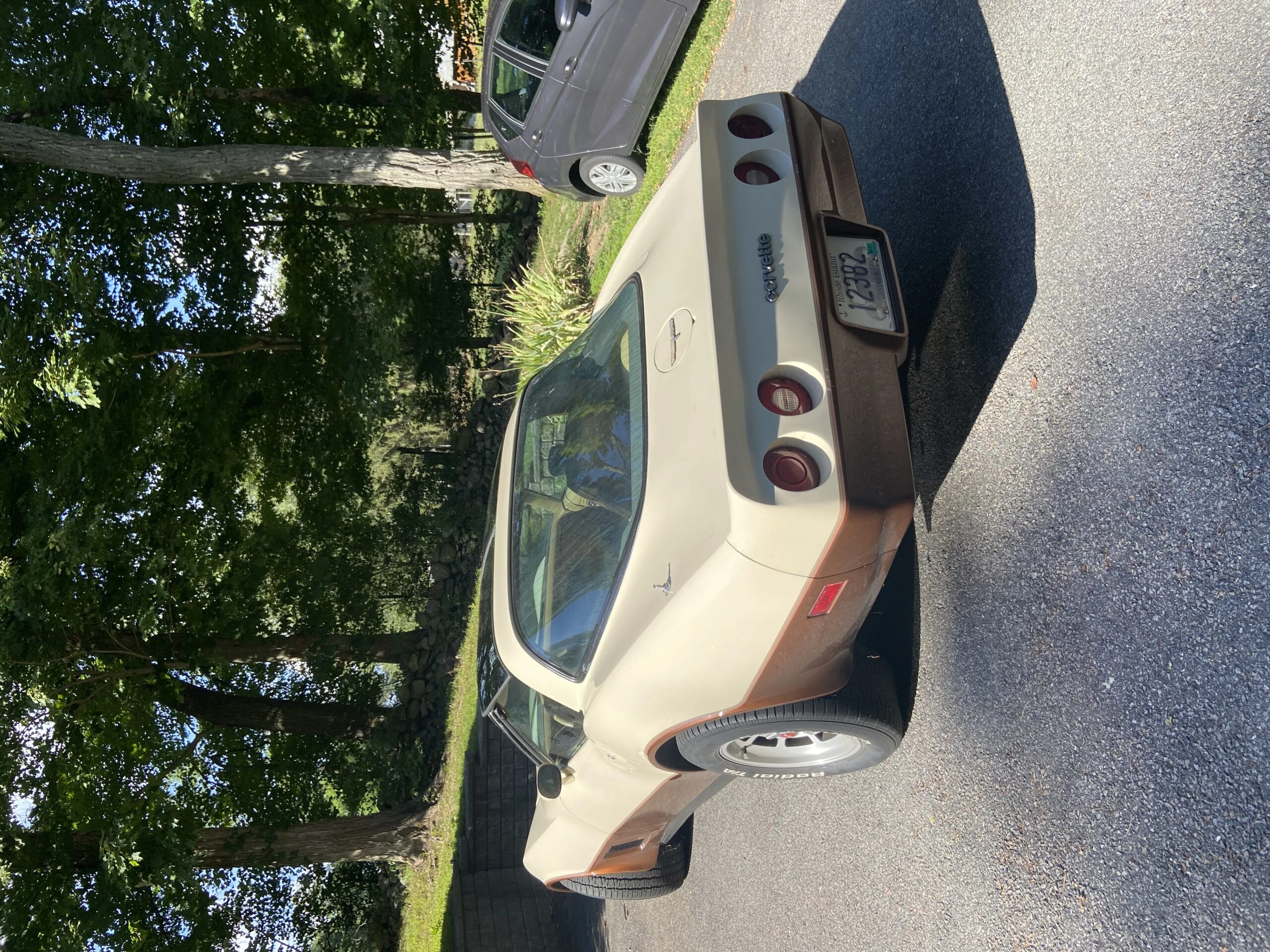 Chevrolet-Corvette-coupe-1981-Beige-Beige-2