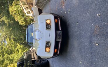 Chevrolet-Corvette-coupe-1981-Beige-Beige-3