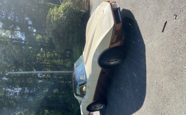 Chevrolet-Corvette-coupe-1981-Beige-Beige