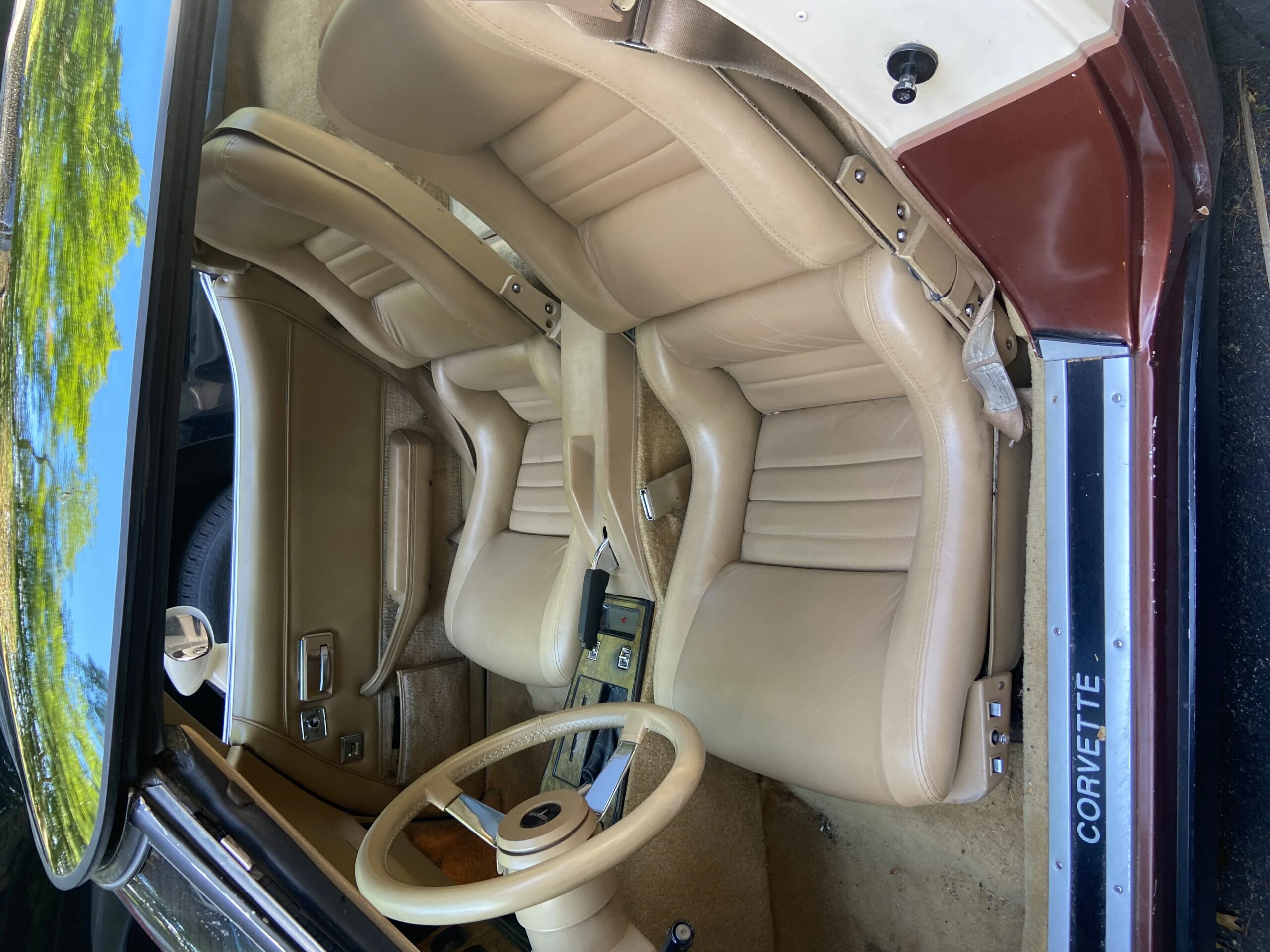 Chevrolet-Corvette-coupe-1981-Beige-Beige-4