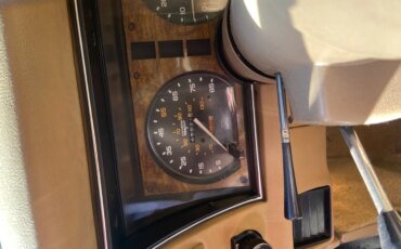 Chevrolet-Corvette-coupe-1981-Beige-Beige-6