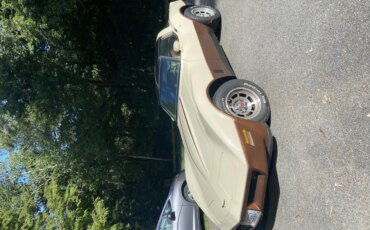 Chevrolet-Corvette-coupe-1981-Beige-Beige-8